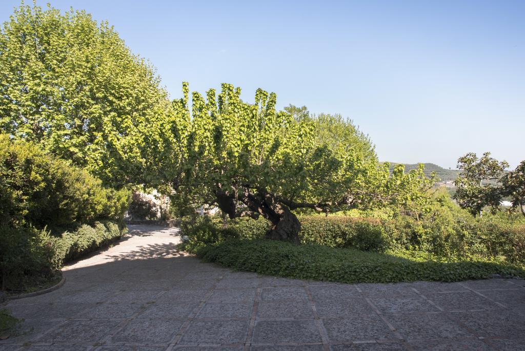 Agriturismo La Vecchia Quercia San Cipriano Picentino Экстерьер фото