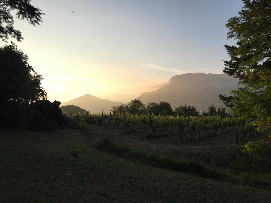 Agriturismo La Vecchia Quercia San Cipriano Picentino Экстерьер фото