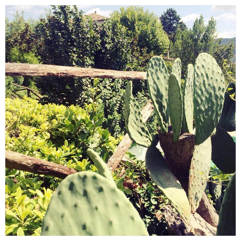 Agriturismo La Vecchia Quercia San Cipriano Picentino Экстерьер фото